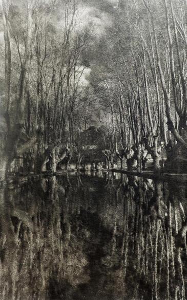Cucuron, L'étang, gomme bichromatée © Etienne Pierart